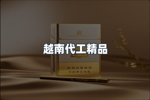 越南代工精品
